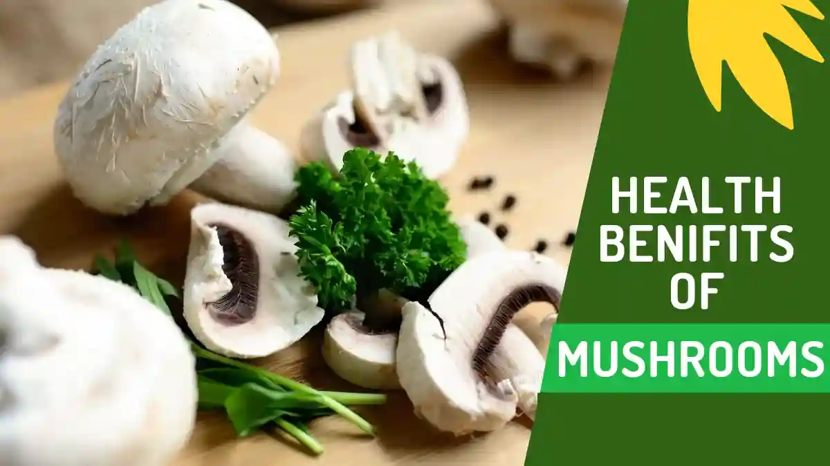 Health benefits of mushrooms