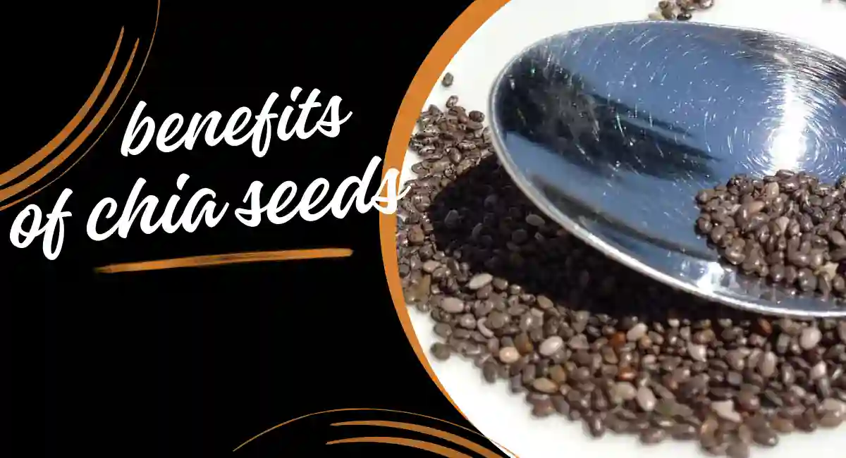 Benefits of chia seeds