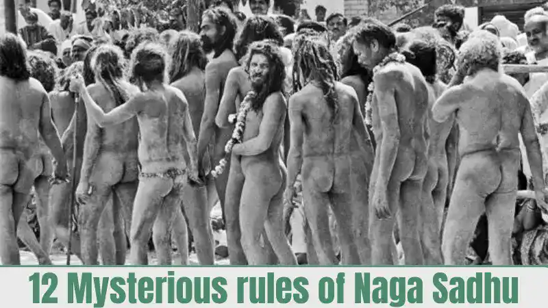 becomes a Naga Sadhu